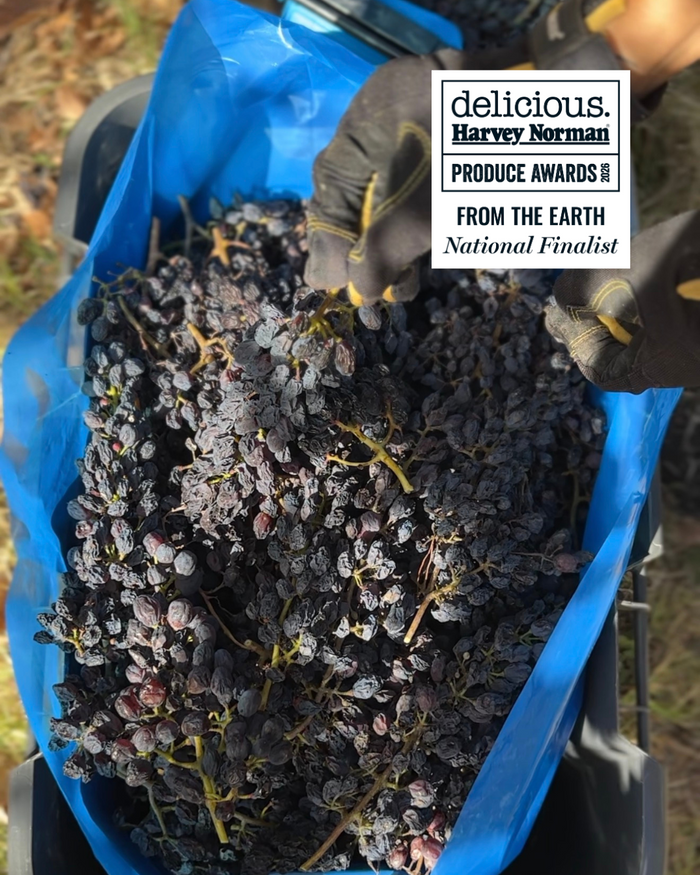 Dad's Vine Ripened Shiraz Grapes 150g